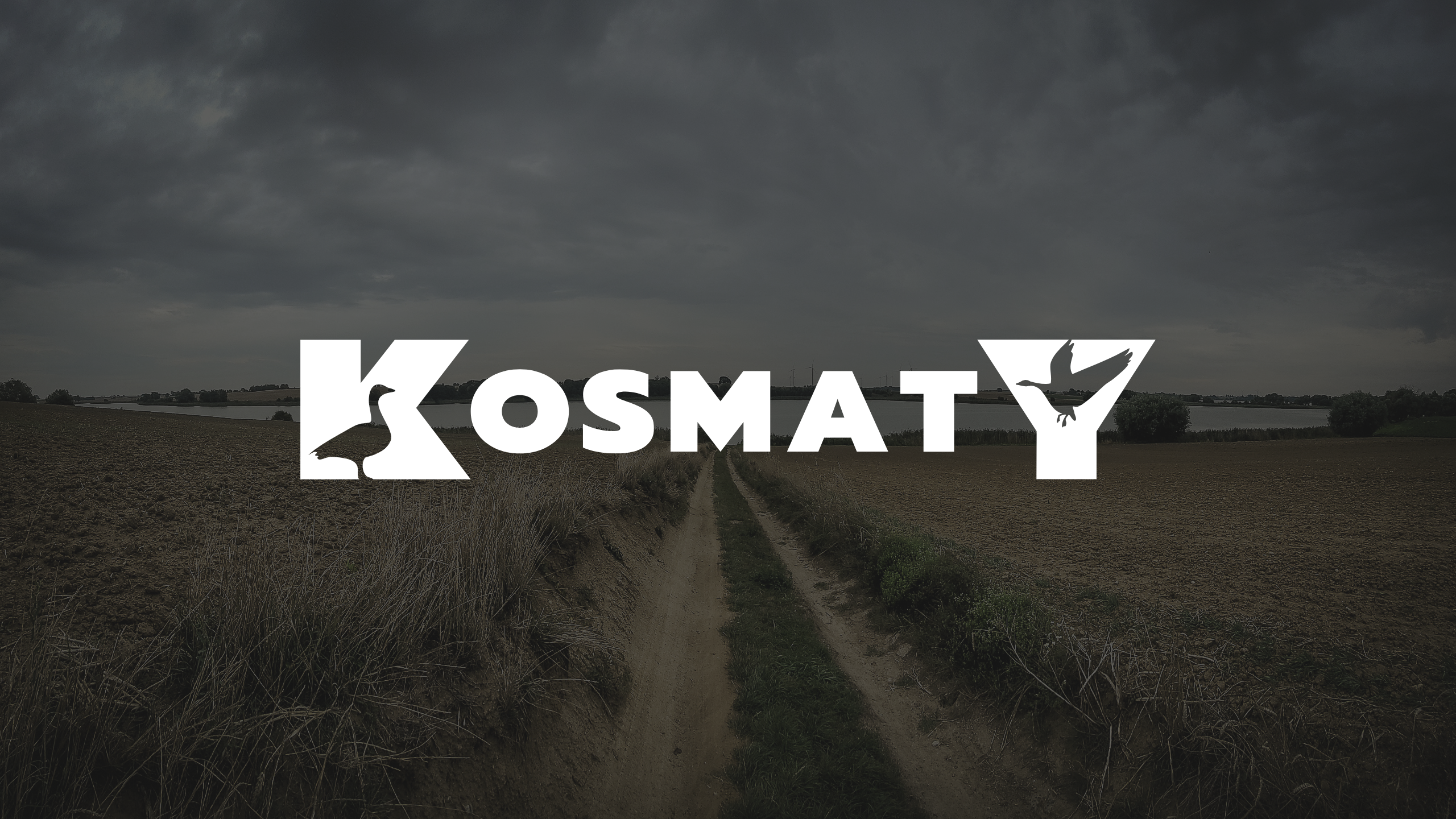 Nowa odsłona www.kosmaty.com