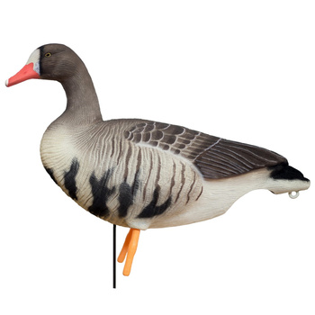 Bałwanki gęsi białoczelnych- Speck Buster