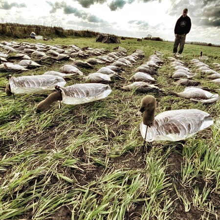 12 Bałwanków zbożówek - Pinkfoot Windsocks