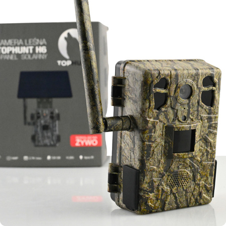 Fotopułapka gsm Kamera Leśna TOPHUNT H6 Tree grain