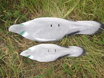 Muszla grzywacza flokowana MAGNUM