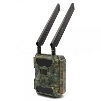 Fotopułapka SF4.0P-CG Pro