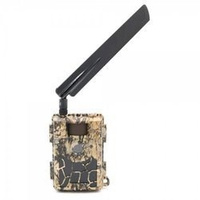 Fotopułapka SF4.8CG PL 24 Mpx 4G LTE