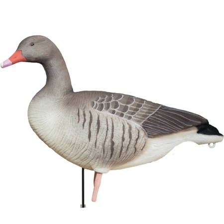 Bałwanki gęgaw - Greylag Buster